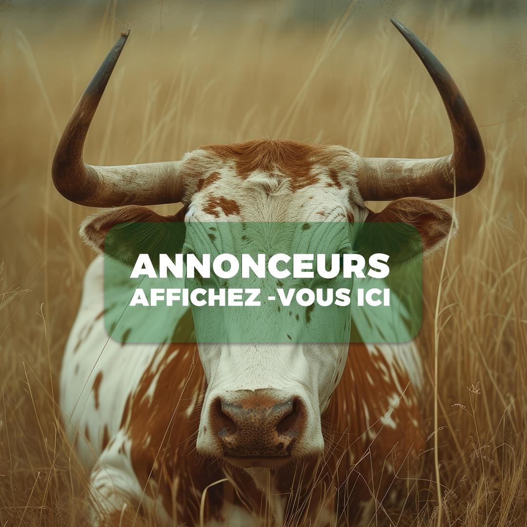 Publicité 5